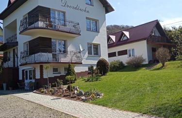 Drozdówka nad Soliną - Domki BOHO - Foto 55