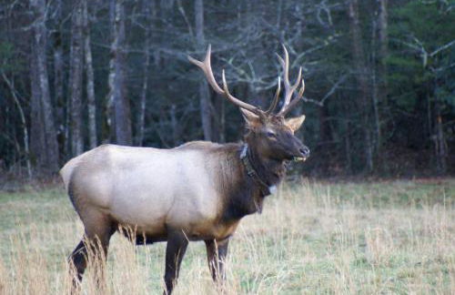 Brookside Cottages - Foto 71