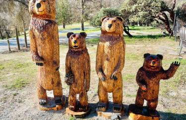 Modern House on 5 acr in Sequoia National Forest - Foto 16