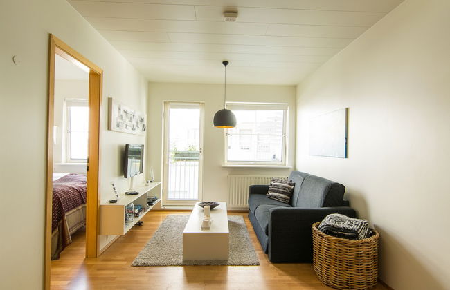 Viking Akureyri apartments - Foto 41