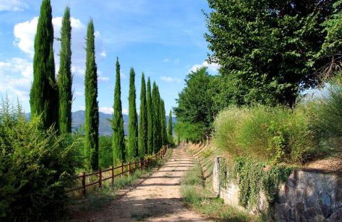 Agriturismo il Pino - Bioagricoltura - Photo 18