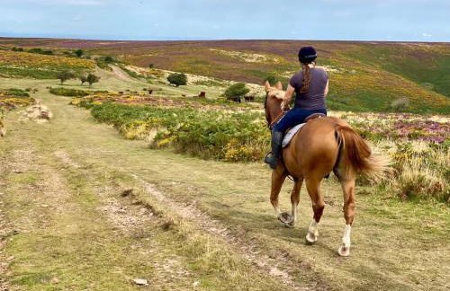 Pardlestone Farm – Self-Catering Cottages - Foto 68