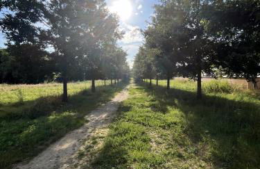 Appart Hôtel Coraline - Genas Lyon Eurexpo - Foto 90