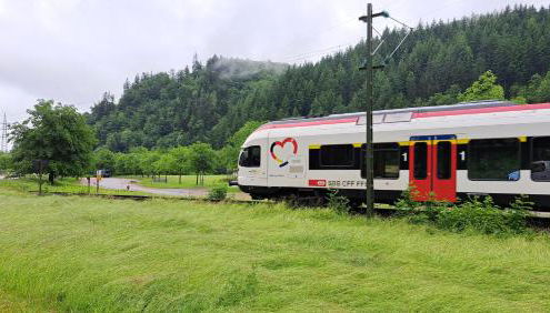 Ferienwohnung 2 Mergel in Black Forest - Foto 3