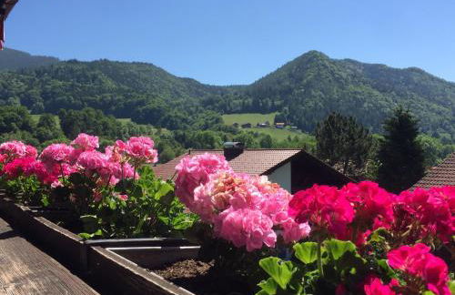 Ferienwohnungen Gästehaus Sonnenkreis - Foto 36