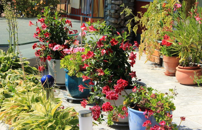 Apartment Dahoam - Foto 9