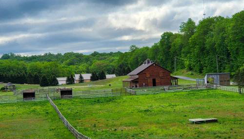 7,000 Sq Ft! Private Rapid City Estate with Pool - Foto 3