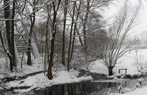 Ferienwohnung mit Loggia im Teutoburger Wald - Foto 60