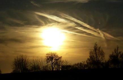 Lieblingsplatz - Foto 18