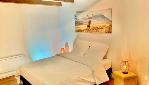 Le Terrier du Katz - Photo 3