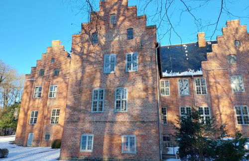 Gemütliches Studio-Apartment in Ostseenähe - Cosy Wulfi - Photo 25