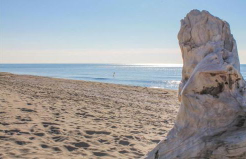 Pet Friendly Home In Camaiore -Lu- - Foto 18