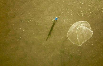 CASA DE PRAIA CORURIPE - LAGOA DO PAU - Foto 20