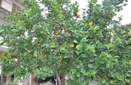 Paradiso in riva al mare - Foto 36