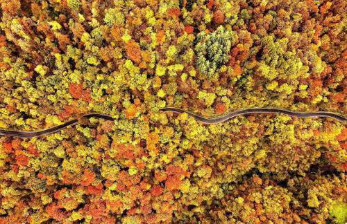 Valle Intelvi - Como Lake - Foto 33