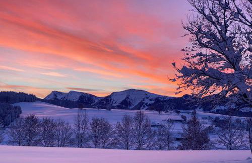 Voralpenidylle - Photo 33