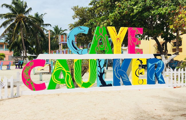 The Lily Pad II - Foto 21