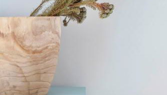 Casa Azul do Olival - Foto 2