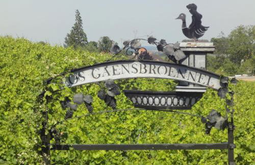 Le Bacchus - Photo 20