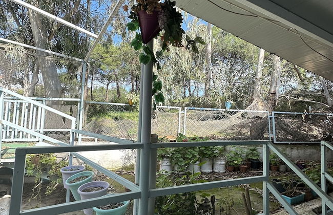 Beyaz Saray Apart Otel - Foto 1