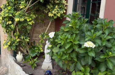 Hotel Rural VN Tenorio - Foto 21