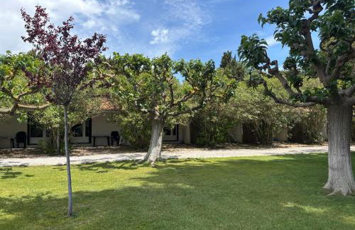 Les Trilles - Foto 31