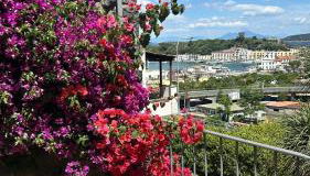 Casa con vista a Ischia - Foto 5, Garden, Garden view