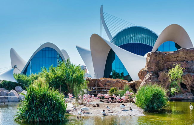 JL Ciudad de las Artes - Foto 54