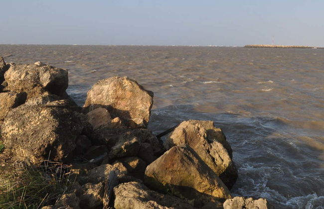 Bocas de Ceniza Day Trip - Photo 2