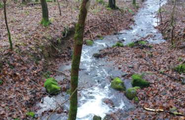 Ferienhaus Fam. Gottbehüt - Foto 25