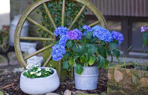 Ferienwohnung Nina - Foto 7