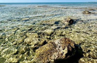 La Conchetta - Foto 13