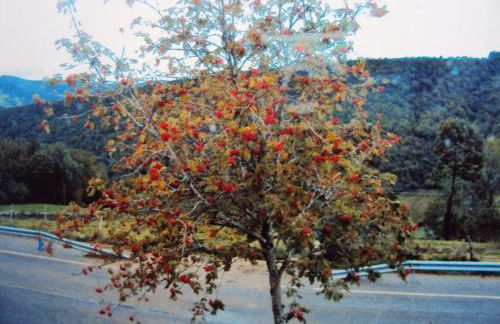 Casa de Lucas - Foto 14