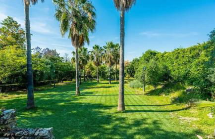 Spacious villa with private pool in Villamartin - Foto 6