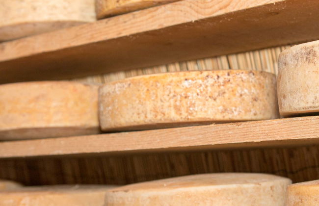 Cheese Tasting - Photo 1