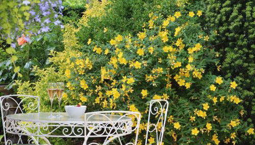 Spindlewood Cottage - Photo 5