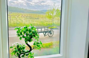 La Villa du Vignoble d Alsace - Photo 38