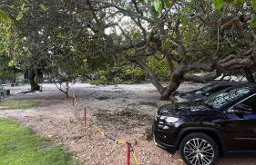 Chácara Adelly - Foto 32