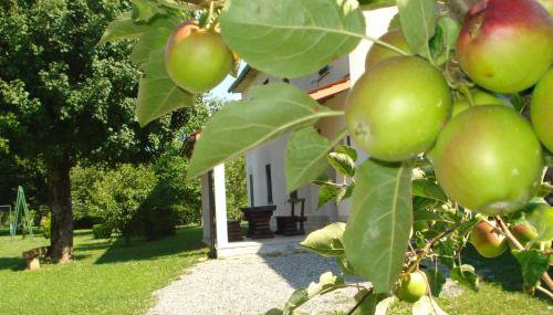 Apartmani Aldo - Foto 5