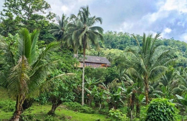 Volcano House - Foto 22