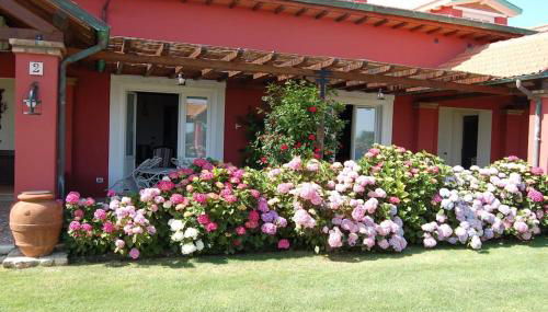 La Pecora Ladra Appartamenti - Foto 5