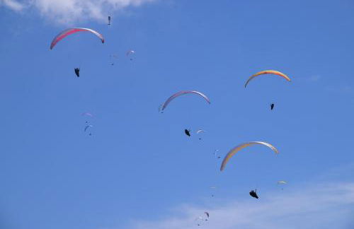 La Quadra de Quelo 3 - Foto 17