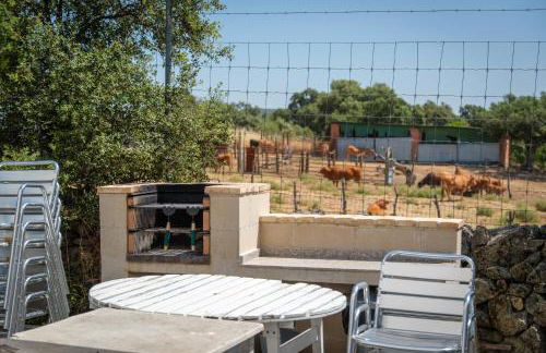 Hamlet's Friends - Foto 105