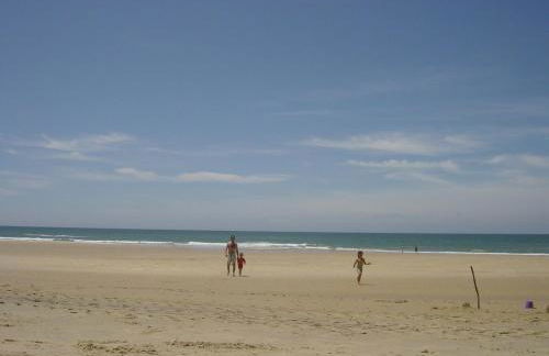 La Tomate Surfeuse 1 - Foto 10