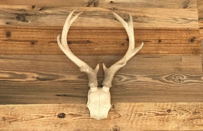 Family Retreat Maria Alm - Foto 13