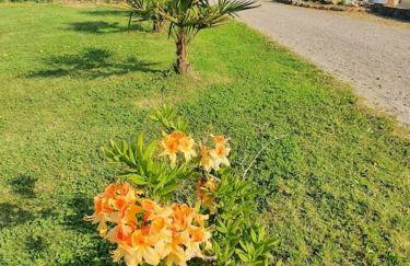 Le paradis des enfants et sa maison en bois - Foto 54