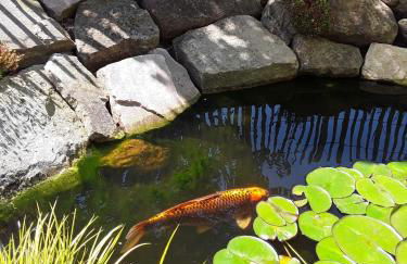 Haus am Vogelsang - Foto 5