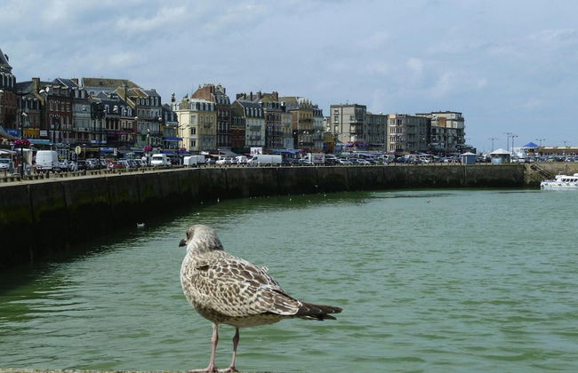 Townhouse Near Bay of Somme and Beaches - Foto 26
