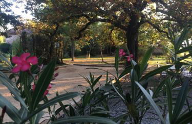 Le Mas Charlemagne - Foto 62