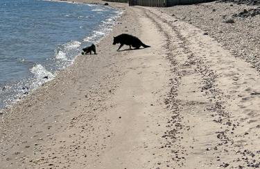 Waterfront paradise - Foto 17